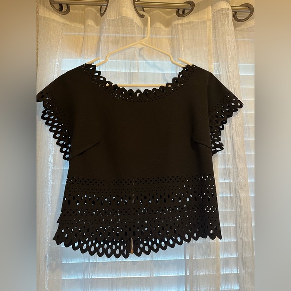 BEBE Black Crop Top with Decorative Cut Out Edge Zipper Back - Picture 5 of 6